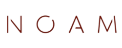 Default 23 noam logo